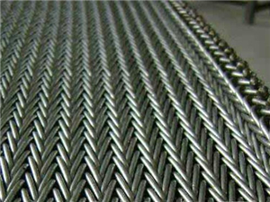 人字型網帶8 人字型網帶8